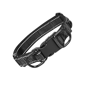 Aepeasti Reflective Dog Collar with Double D-Ring, Soft Neoprene Padded, Buckle Adjustable Safety Nylon Pet Collars for Large Dogs(Black)