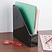 mDesign Desk Office Magazine & File Folder Organizer - Black