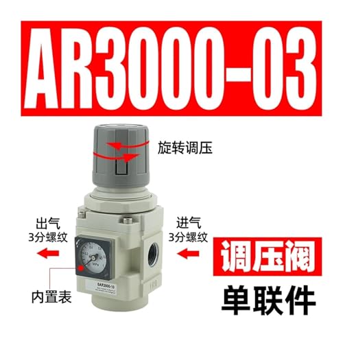 Processeur de Source AC2010 avec filtre pour compresseur d'air - 3