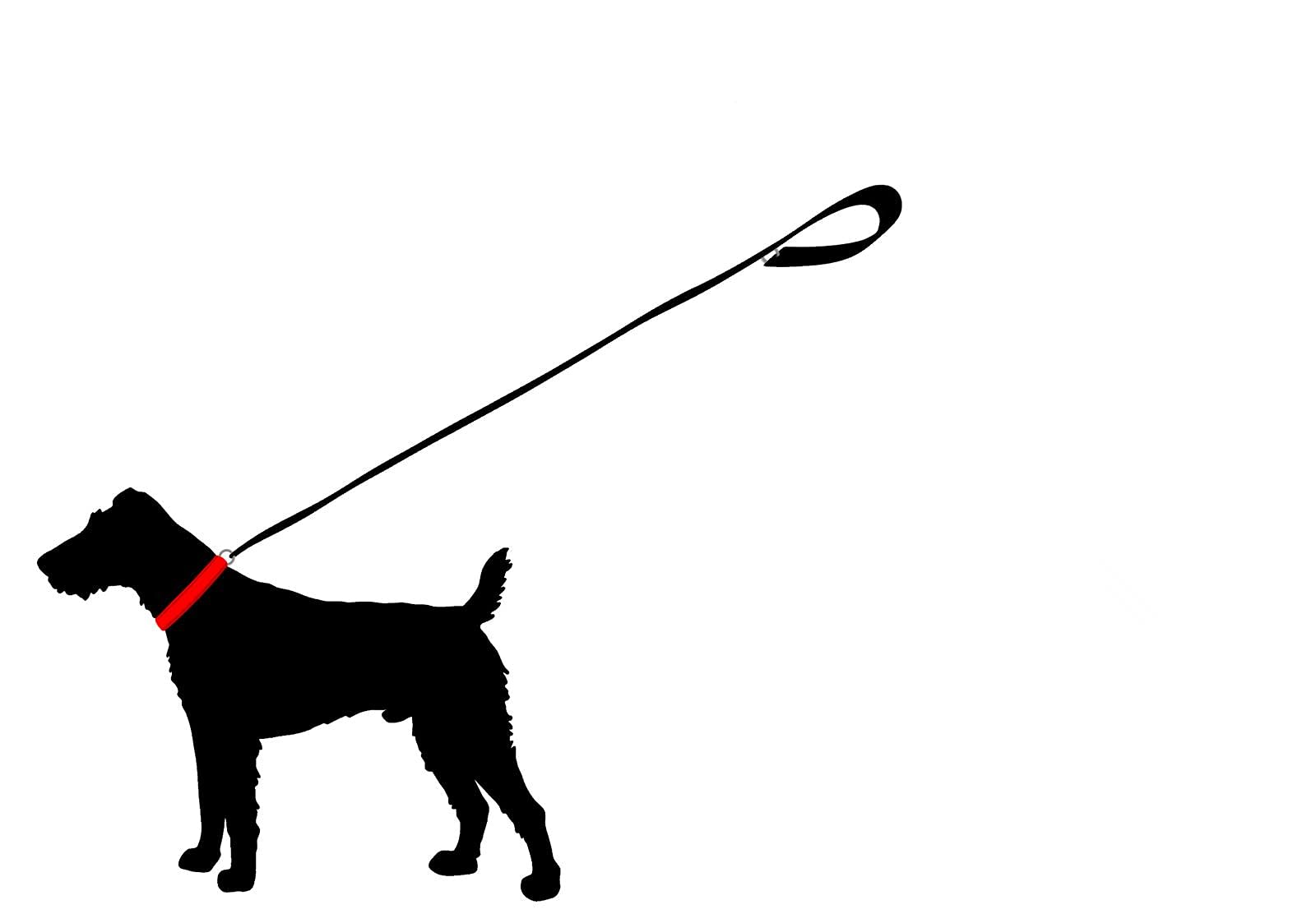 Hundeleine Fettleder kleine Hunde/große Hunde MIT Handschlaufe Made IN Germany 1m - 5m (1,25m X 15mm, Schwarz)