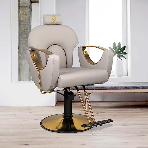 Luxmars Reclining Barber Chair Salon Chair Height Adjustable Hydraulic Chair Barber Chairs Salon Hydraulic Recliner Chair Hydraulic Pump Profession Shampoo Chair Beauty Salon Grey #TOP1