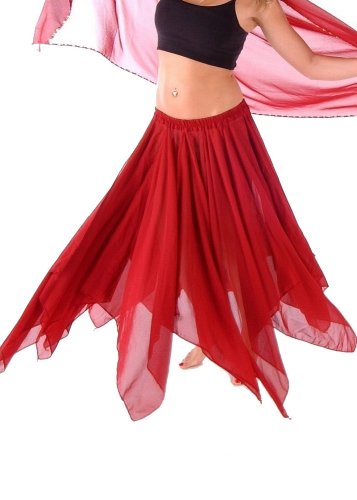 Belly Dance 13 Panel Chiffon Skirt | Red,One Size #TOP28