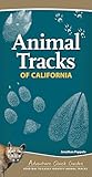 Animal Tracks of California: Your Way to Easily Identify Animal Tracks (Adventure Quick Guides)