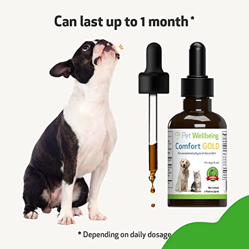 Pet Wellbeing Comfort Gold For Dogs - Natural Pain Relief For Canines - 2 Oz (59Ml) #TOP6