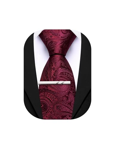 Image of Barry.Wang Paisley Tie for Men Silk Woven Necktie and Tie Clip Set Wedding Party Business Formal