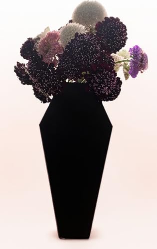 Appvritixn AP0027 Decorative Black Coffin Shaped Flower Vase