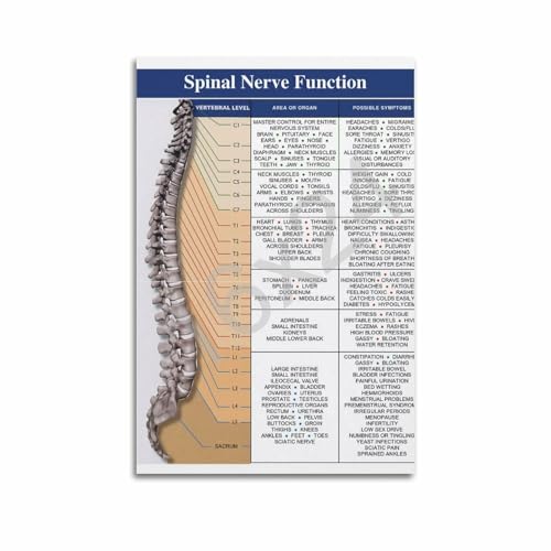 PENCHAIN Spinal Nerve Function Chart 12x18 poster