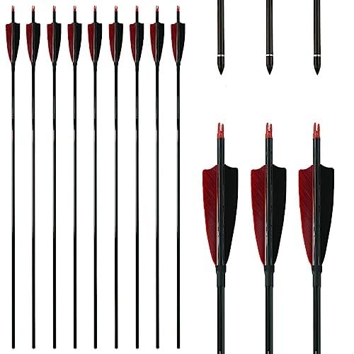 Amazon.com : Linkboy Archery Pure Carbon Arrows Spine 300 340 400