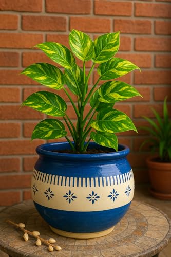 Image of Niyara Ceramic planters pots for Indoor Outdoor Home, Garden Office Decor Balcony Planters Gamla Flower Size Small 6 inches (Blue jhalar)