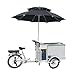 cozytrikes Electric Ice-Cream Tricycle | Portable 3-Wheel Vending Bike with 550W Motor and 41-Gallon Freezer Capacity