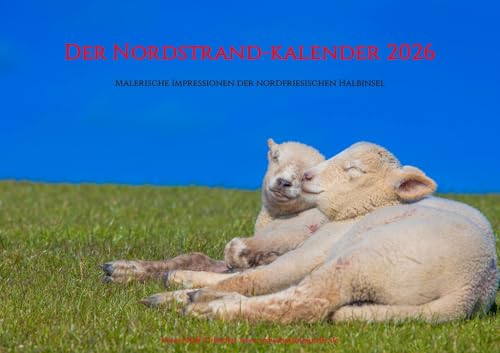 Der Nordstrand-Kalender 2025 DIN A 3: Malerische Impressionen der nordfriesischen Halbinsel