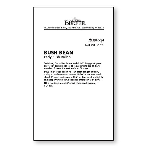 Burpee Early Italian Bush Bean Seeds 2 Ounces Of Seed #TOP6