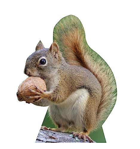 Image of Cardboard People Squirrel Life Size Cardboard Cutout Standup - Made in USA