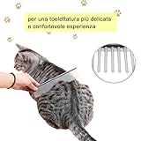 CUEMOON B0DHG6YHKB lato 4