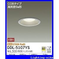 Amazon.co.jp: 大光電機（DAIKO） ダウンライト(軒下兼用) LED