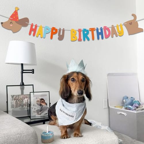 Image of Dachshund Dog Birthday Banner - Multicolor, 59 inch x 14.5 inch Long Sausage Wiener Dog Puppy Party Decoration