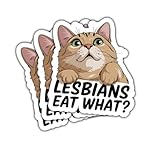 3Pcs Lesbians Eat What Sticker Funny Humor Adult LGBT Pride Month Gift for Lesbian Meme Queer Cat Lesbians Eat What Cat Stickers LGBTQ Car Decal for Laptop Bottle Notebook Toolbox Hard Hat 3'