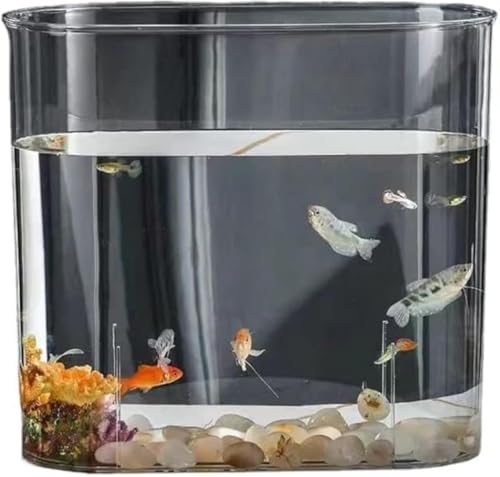 CokBlu 透明アクリル製金魚鉢 プラスチック製で軽量且つ割れにくい安全性 大容量テラリウム容器で金魚メダカ水草飼育最適 観葉植物水培にも対応 おしゃれインテリアボウルとしてテーブル装飾花瓶に活用