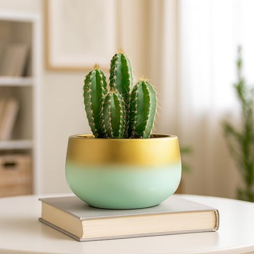 Image of Urban Plant Terracotta Pot - Trendy Planter for Modern Home & Garden Spaces (Celestia Terracotta Pot - Trendy Gradient)