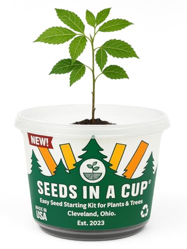 Southern Magnolia Tree Seed Starter Kit - Easy Grow Gift for Kids & Gardeners Seeds In A Cup®