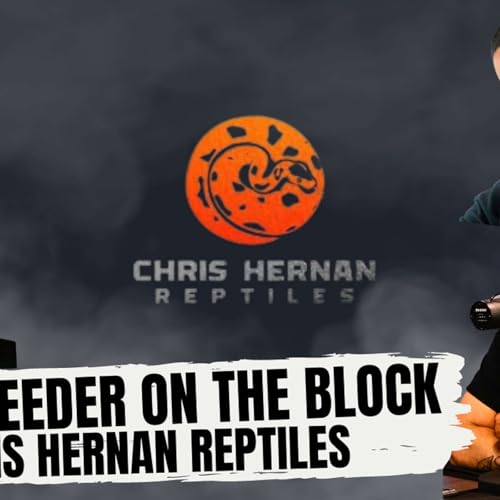 BALL PYTHON MORPHS YOU CAN'T IGNORE | NEW BREEDER ON THE BLOCK W/ CHRIS HERNAN REPTILES Podcast By  cover art