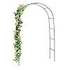 Best Goods Rozenboog metaal stabiel rozenboog halfrond tuinboog met versiering rankboog voor plant, rozenframe (koepel)