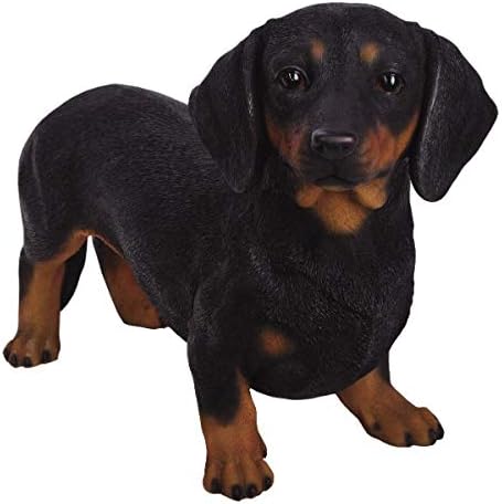 Pacific GiftwarePT Large Size Statue Black and Tan Dachshund Hot Dog Short Legged Decorative Resin Figurine