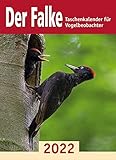 Der Falke-Taschenkalender für Vogelbeobachter 2022
