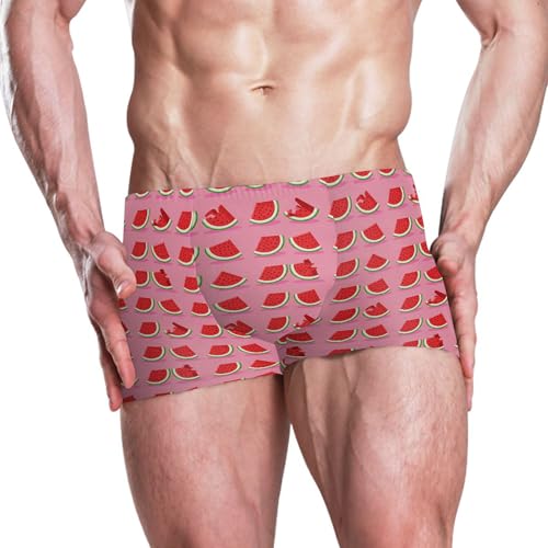 Watermelon Fruit Mens Swim Trunk Swimwear Bathing Suit Swim Brief Square Leg Board Short S B04048192