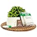 ECO Amenities Spa Sachet Individually Wrapped 1 ounce Cleaning Soap, 200 Bars per Case