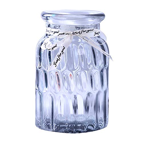 asdchZen Nordic Creative Glass Vase Transparent Color Hydroponic Craft Vase Living Room Home Decoration Flowers Dried Flower Arrangement