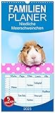  Familienplaner Niedliche Meerschweinchen (Wandkalender 2023 , 21 cm x 45 cm, hoch): Jeden Monat ein anderes drolliges Kerlchen (Monatskalender, 14 Seiten ) (CALVENDO Tiere)