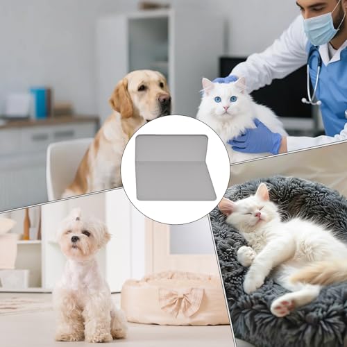 Support pour chiot et chat sous forme de bac à litière étanche