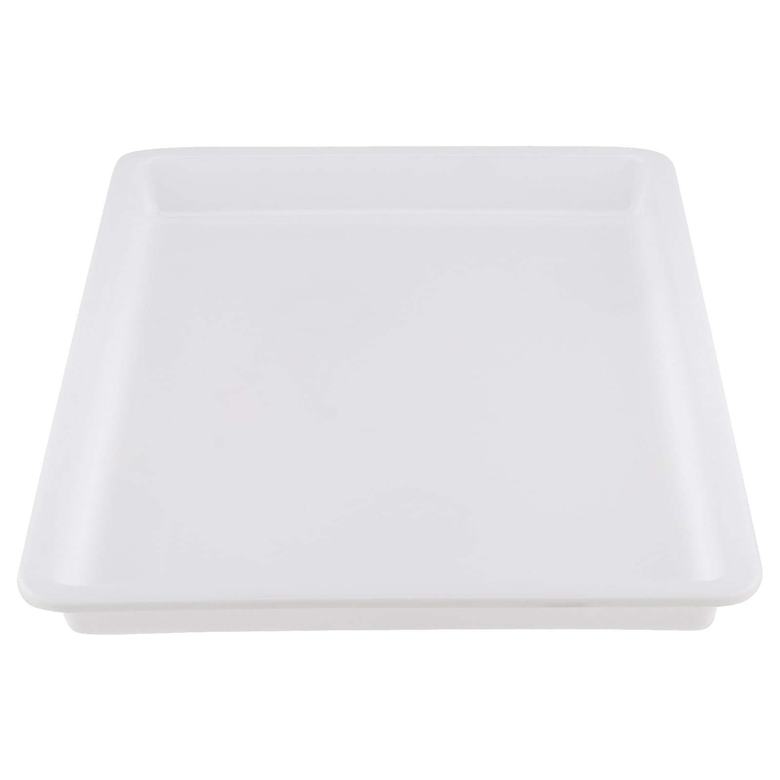 10 vassoi plastic per attività artistiche e artigianali, scuola e casa, progetti fai-da-te, pittura, perline, organizzazione forniture