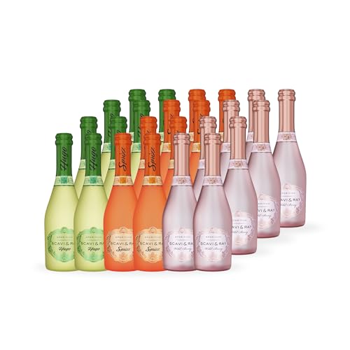 SCAVI & RAY Aperitivo Piccolo Mix Set 24 x 0 2l Hugo Sprizz & Wild Berry Ready to Drink Aperitif Mix mit 5 5% Vol. perfekt für Gartenpartys & kleine Genussmomente