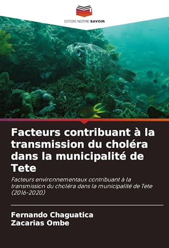 Facteurs contribuant à la transmission du choléra dans la municipalité de Tete: Facteurs environnementaux contribuant à la transmission du choléra dans la municipalité de Tete (2016-2020)