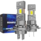 BEAMFLY