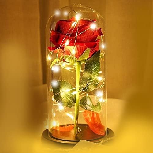 Saffri Led Lights Red Rose Gift in Glass Dome Perfect Present for Girlfriend Boyfriend GF BF Husband Wife Christmas Birthday Anniversary
