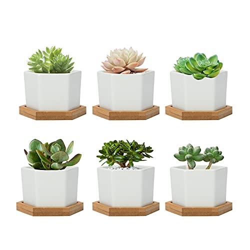 FORAGIFT 7CM Succulent Plant Pots, Simple Design Hexagon Small Flower Pot, White Ceramic Cactus Pots with Bamboo Tray and Drainage Hole, Great for Home Office Decor, Set of 6 (Plants Not Included)