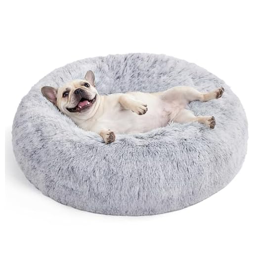 FEANDREA Hundebett, Katzenbett, weiche PV-Samtoberfläche, 70 cm, grau PGW039G01