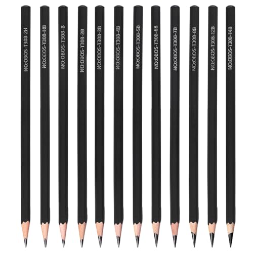 FESSOSKO 12 Piezas Carboncillo para Dibujo, Juego de LáPices de Dibujo, Adecuado para Dibujar, Sombrear, Mezclar y Hacer Retratos, Ideal para Principiantes y Artistas