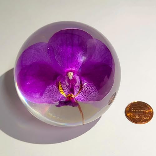 Image of 2.6 inch Real Purple Orchid in Crystal Clear Lucite Resin Ball October Birth Month Flower Anniversary Wedding Engagement Valentine Gift Botanist Herb Herbarium Paperweight Display Decor Collection