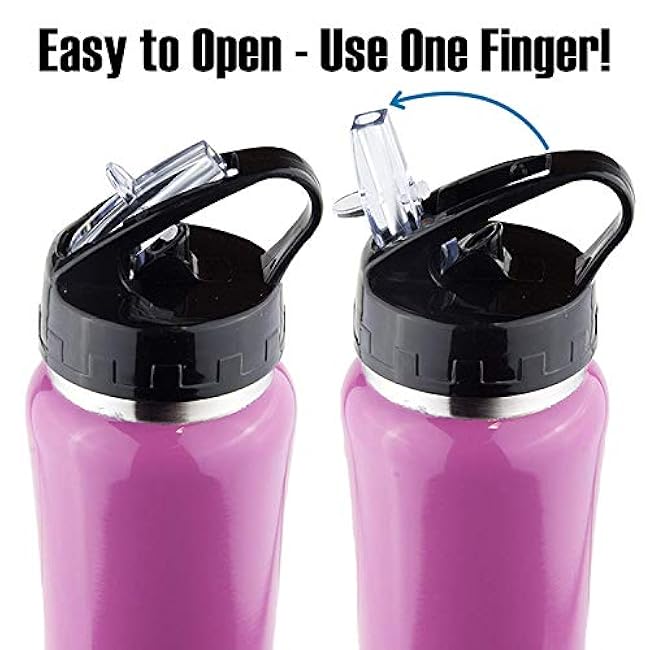 Zero Degree 18 OZ PURPLE Stainless Steel Water Bottle w/Straw and Leak Proof Lid, Vacuum Insulated Double Wall Sport Bottle Keeps Drinks Cold for 12 Hours - 18oz (PURPLE)
