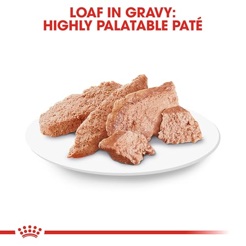Royal Canin Breed Health Nutrition Shih Tzu Adult Loaf in Sauce Dog Food, 3 oz (Pack of 6) - Image 3