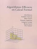 Algorithmes Efficaces en Calcul Formel (French Edition)