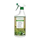 BodenLiebe UNKRAUTSCHRECK 1 L – fertiges Unkrautmittel für Wege & Terrassen – biologisch abbaubar & schnellwirkend – wirkt gegen Unkraut, Moose & Algen – Anwendung ab 10 Grad
