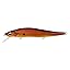 02 Common Copper Shad