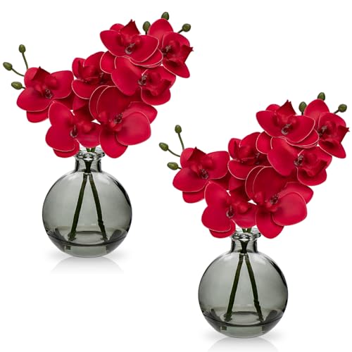 Oairse Red Orchids Artificial Flowers Faux Orchid Arrangement with Clear Glass Vase Set of 2 Real Touch Phalaenopsis Orchid Flowers Orchid Centerpiece for Dining Room Table