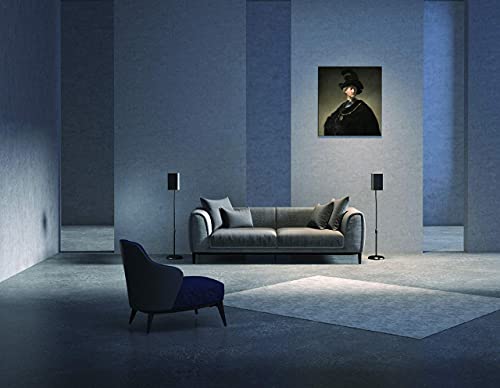 2 Lautsprecherständer - Universal für Satelliten Surround Boxen Schwarz je 4.5kg belastbar von HALTERUNGSPROFI S05