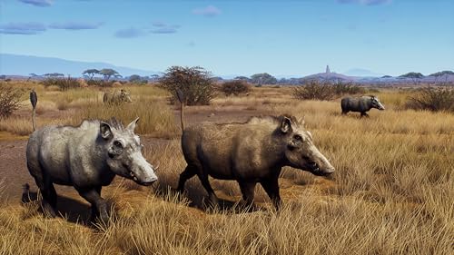 Way Of The Hunter [Hunting Season One] Xbox Series X Us - vue 9